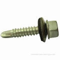 Stainless Steel Self-drilling Screw, Plain Surface Finished